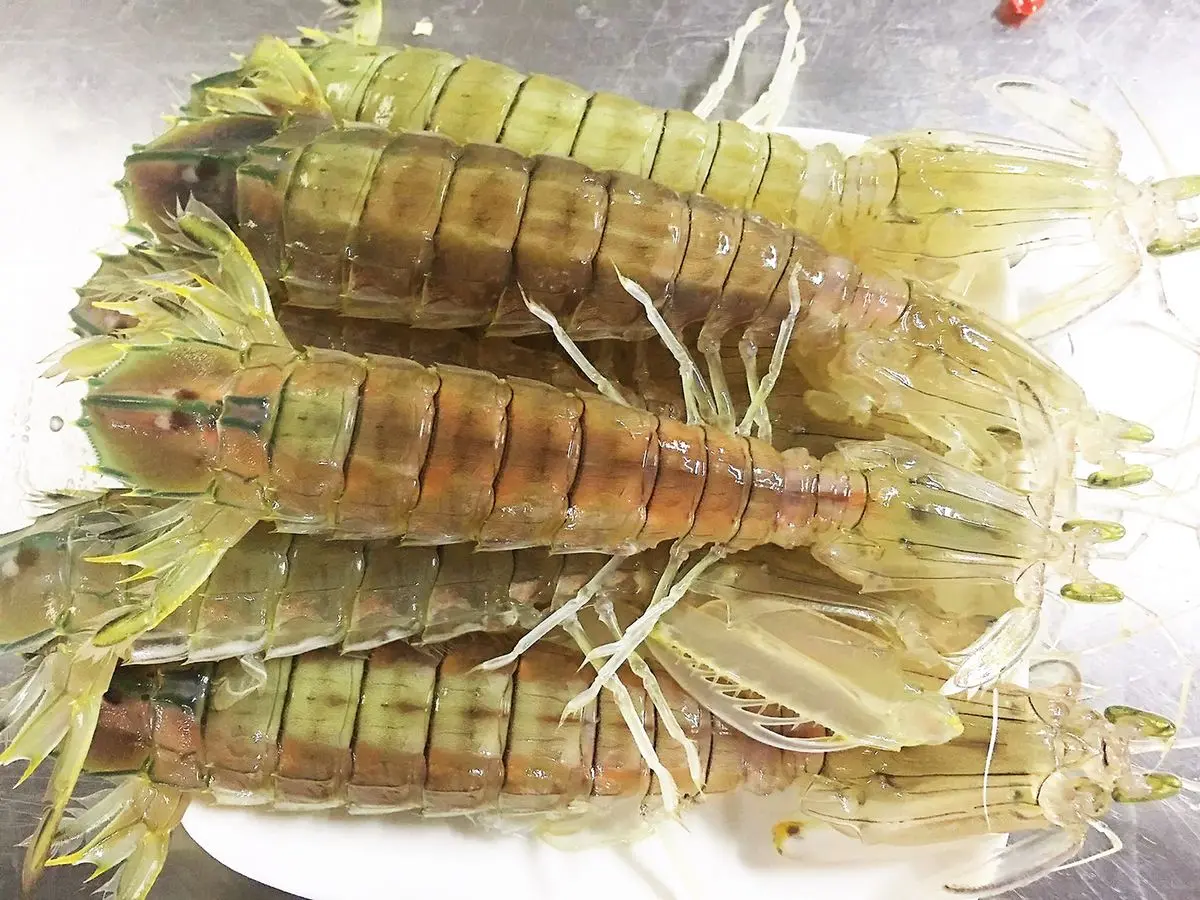 M&ecirc; mẩn hương vị b&uacute;n bề bề Hạ Long thơm ngon kh&oacute; cưỡng 2