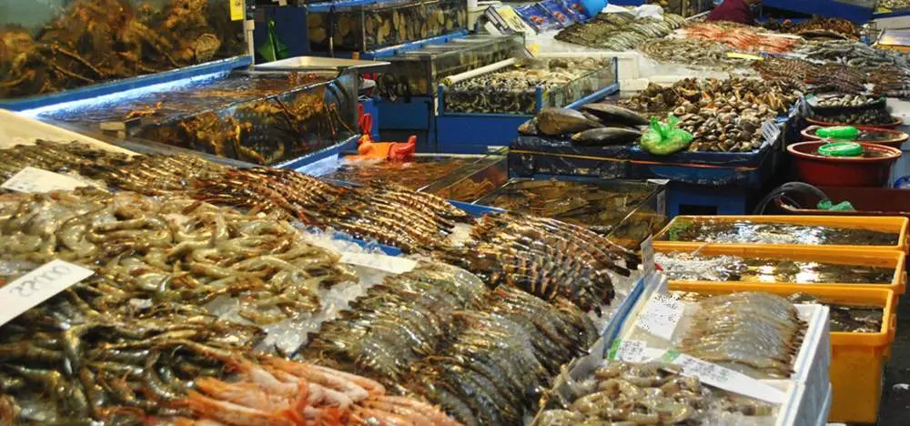Sam biển Hạ Long v&agrave; những m&oacute;n ngon kh&ocirc;ng thể bỏ lỡ 10