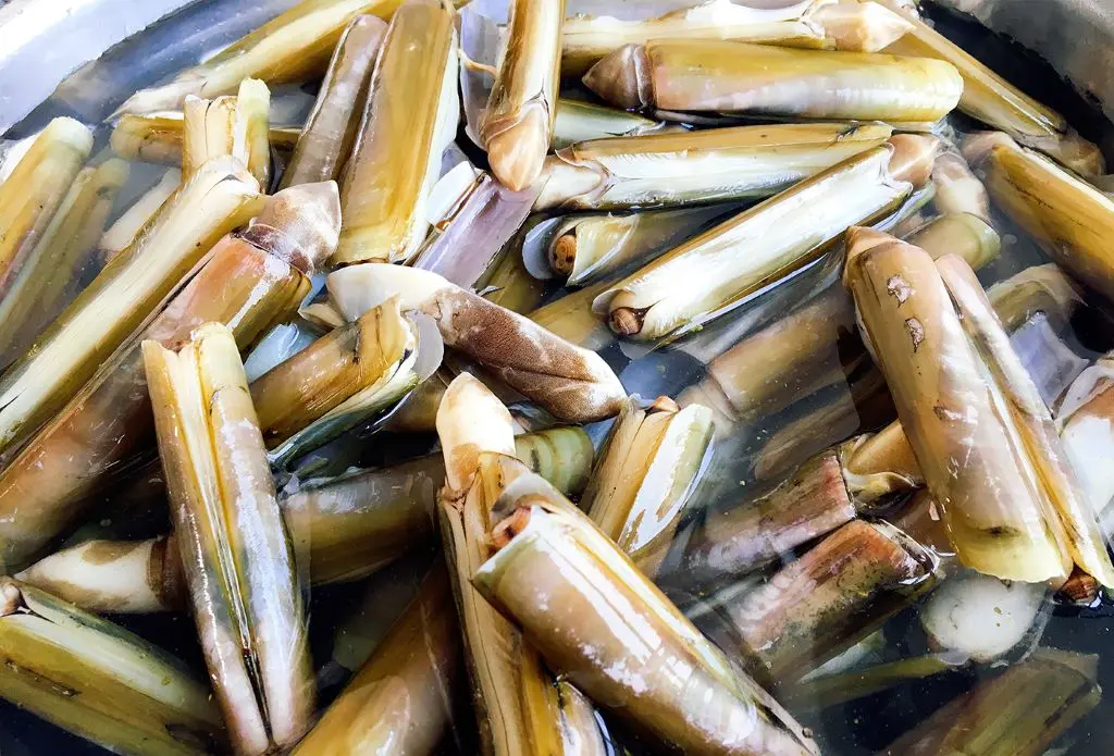 Thơm ngọt với món ốc móng tay chỉ có tại vùng biển Quảng Ninh 3