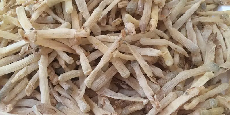 Top 15 đặc sản Hạ Long nổi tiếng trứ danh ai cũng say m&ecirc; 9