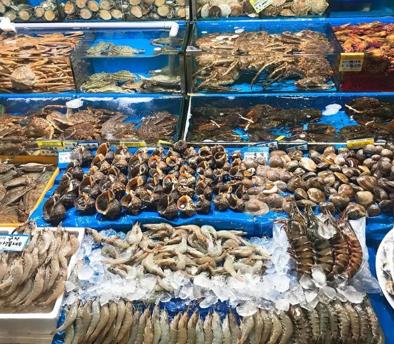 Hải sản Quảng Ninh, tinh hoa ẩm thực từ vùng biển gây thương nhớ