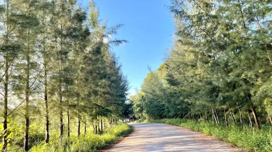 Kh&aacute;m ph&aacute; Đảo Minh Ch&acirc;u, tận hưởng sắc thu l&atilde;ng mạn của v&ugrave;ng biển V&acirc;n Đồn 4