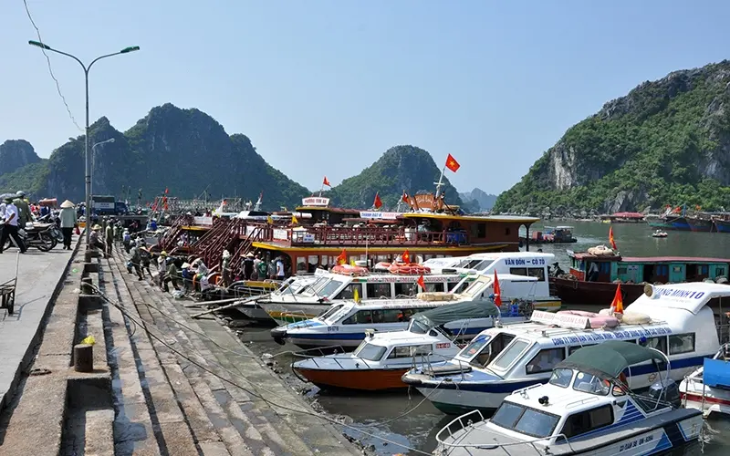 Kh&aacute;m ph&aacute; đảo Ngọc Vừng: V&ugrave;ng đất lịch sử với cảnh sắc h&ugrave;ng vĩ 6
