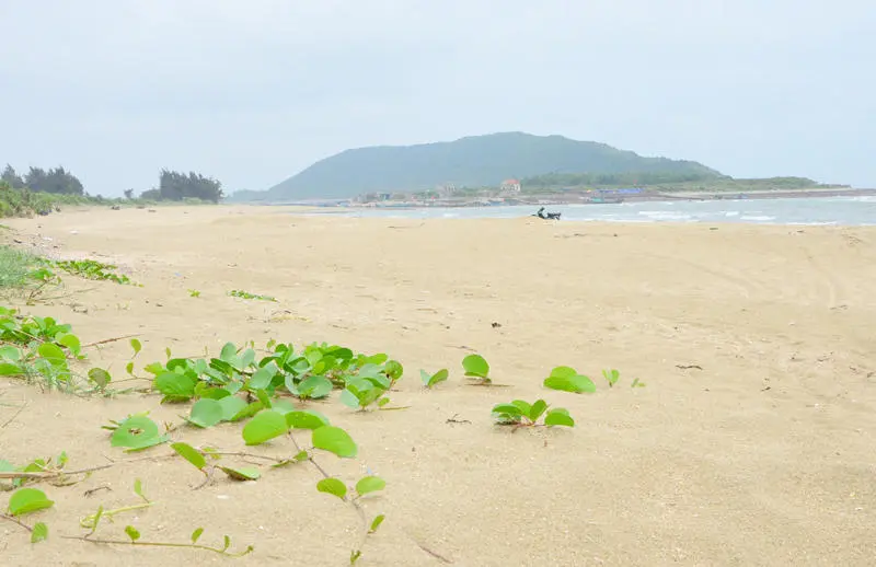 Kh&aacute;m ph&aacute; Đảo Vĩnh Thực đầy nắng v&agrave; gi&oacute; ở Quảng Ninh 7