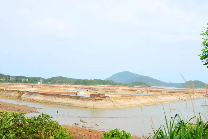 Kh&aacute;m ph&aacute; Đảo Vĩnh Thực đầy nắng v&agrave; gi&oacute; ở Quảng Ninh 6