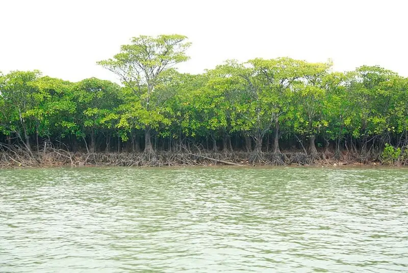 Kinh nghiệm du lịch Ti&ecirc;n Y&ecirc;n, Quảng Ninh với 12 điểm đến y&ecirc;u th&iacute;ch 5