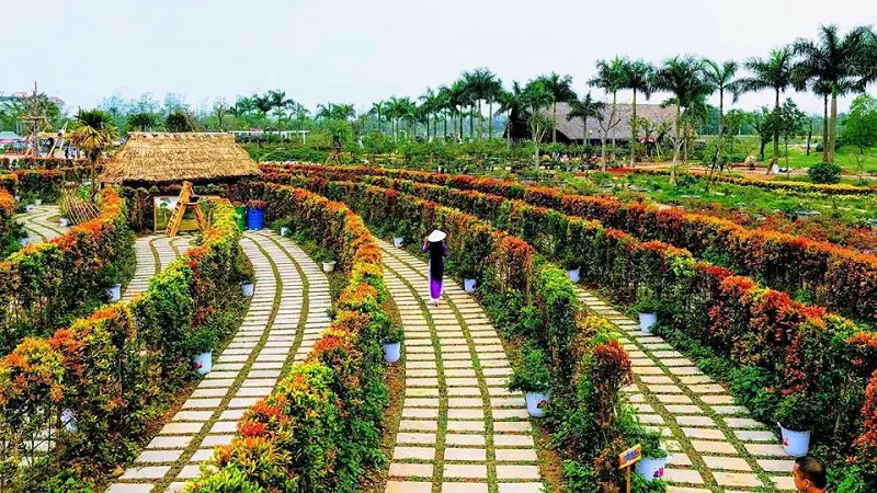 Công viên hoa hồng Rose Park - Mê cung hoa hồng nổi bật giữa lòng Hà Nội