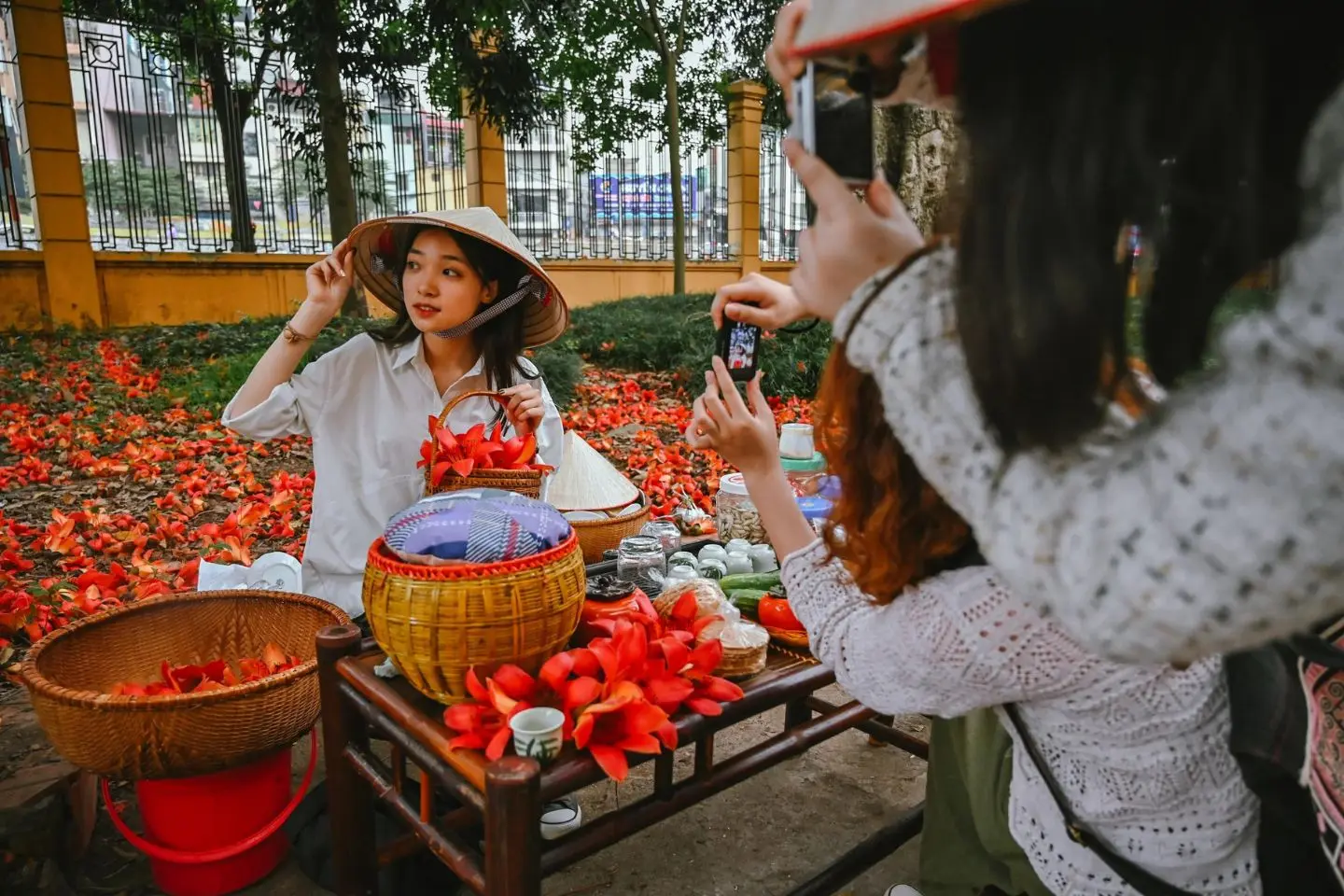 Chi&ecirc;m ngưỡng vẻ đẹp l&acirc;u đời của c&acirc;y hoa gạo cổ thụ ở H&agrave; Nội 8