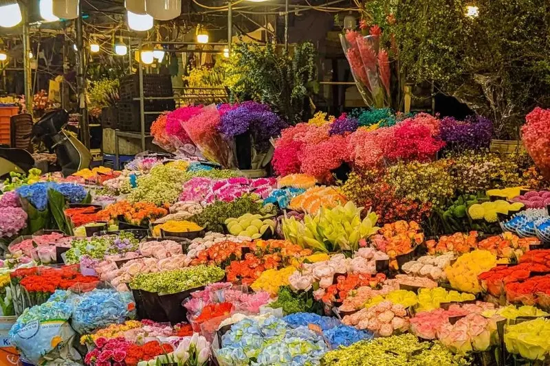 Chợ hoa Quảng An &Acirc;u Cơ: Thi&ecirc;n đường hoa đ&ecirc;m lớn nhất H&agrave; Nội 5