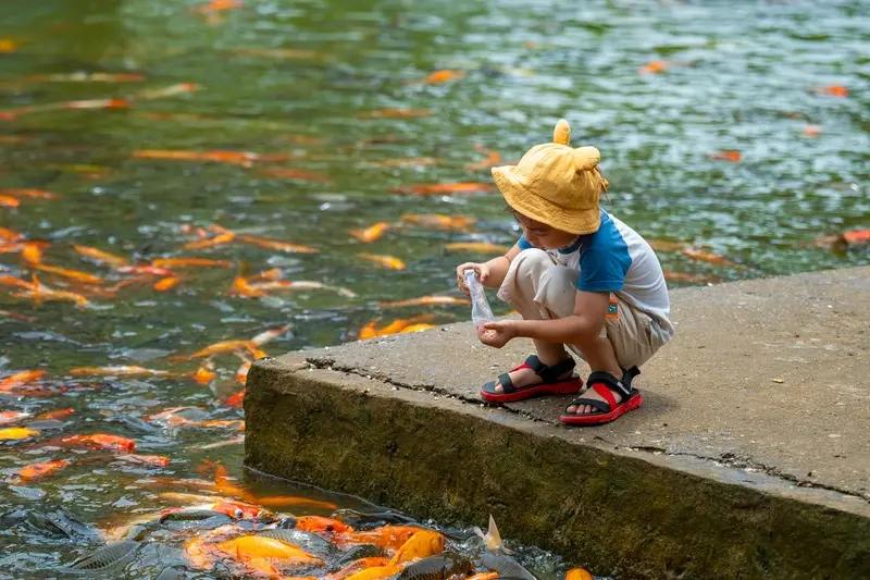 Chùa Khai Nguyên: Chốn tâm linh nức tiếng vùng Sơn Tây 9