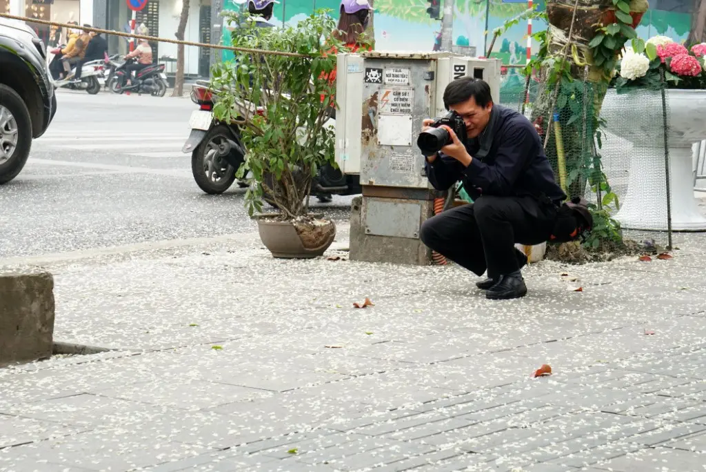 C&ograve;n g&igrave; bằng đắm m&igrave;nh giữa m&ugrave;a hoa sưa H&agrave; Nội 9