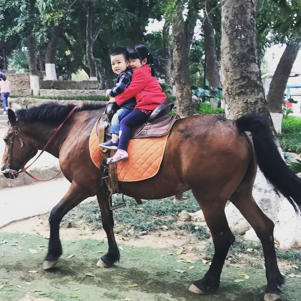 Cuối tuần đến C&ocirc;ng vi&ecirc;n Thủ Lệ t&igrave;m về k&yacute; ức tuổi thơ 7