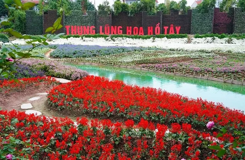 Đến Hồ Tây ngắm cảnh đẹp có một không hai giữa lòng thủ đô 5