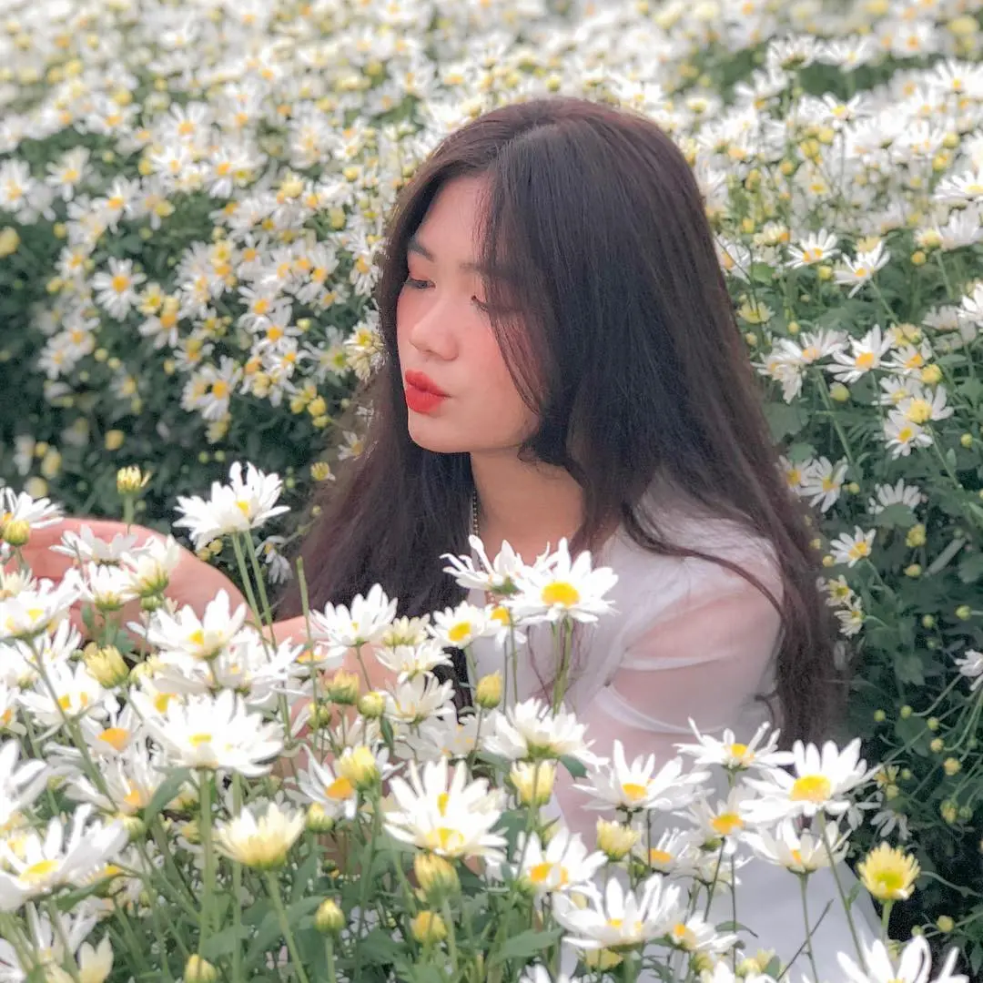 Đến Vườn Hoa Phương Linh, chụp góc nào cũng có ngay ảnh xịn! 6