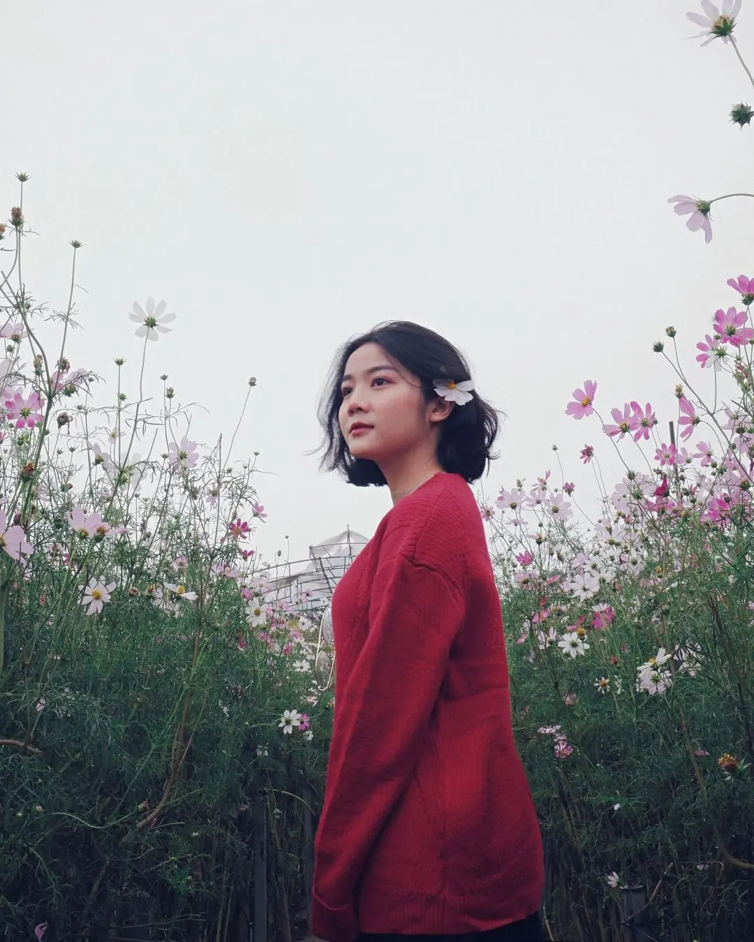 Đến Vườn Hoa Phương Linh, chụp góc nào cũng có ngay ảnh xịn! 2