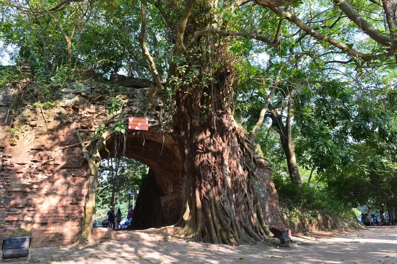 H&igrave;nh tr&igrave;nh kh&aacute;m ph&aacute; Th&agrave;nh cổ Sơn T&acirc;y bằng đ&aacute; ong duy nhất ở Việt Nam 5