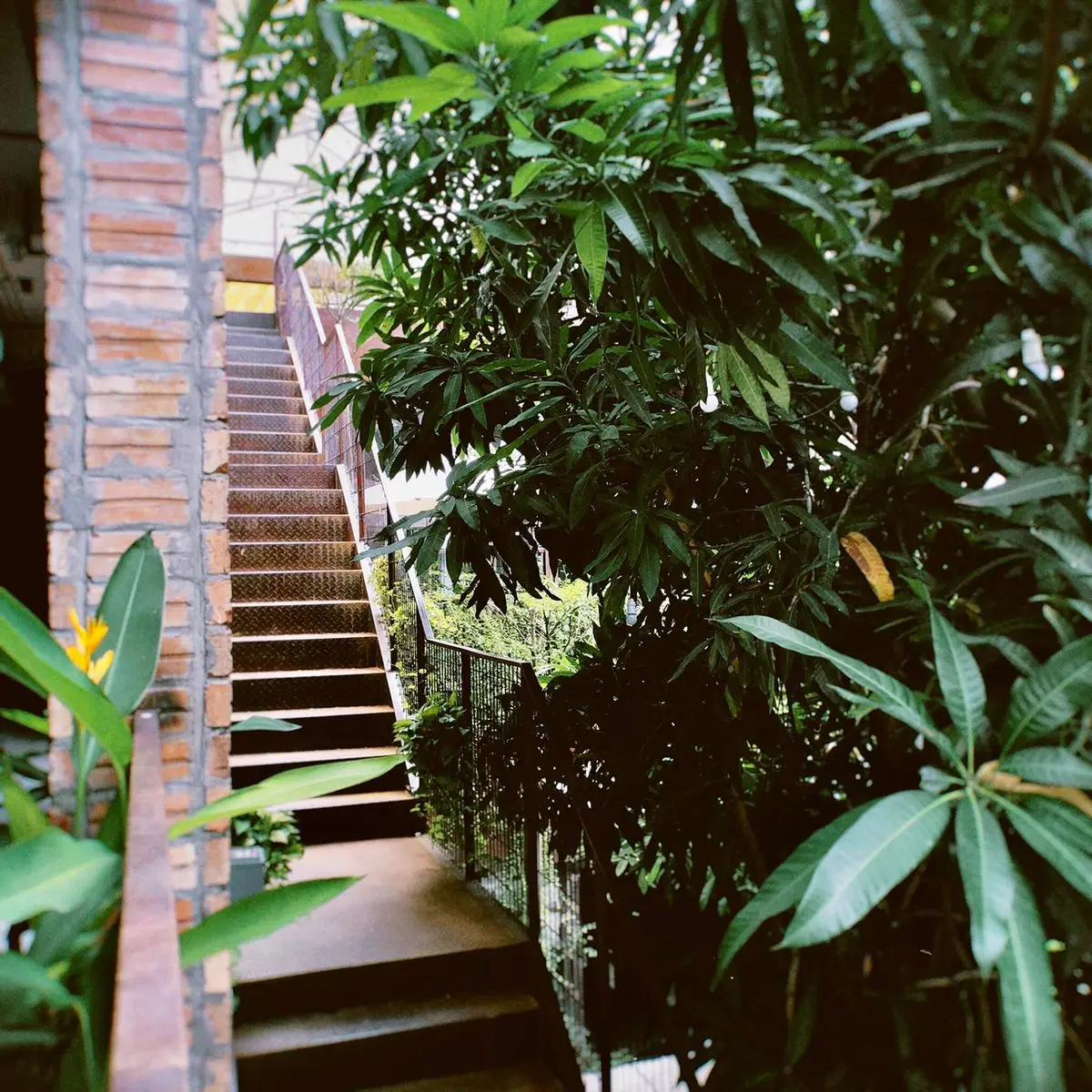 Kh&aacute;m ph&aacute; tổ hợp giải tr&iacute; COMPLEX 01 g&acirc;y sốt giới trẻ H&agrave; Th&agrave;nh 9