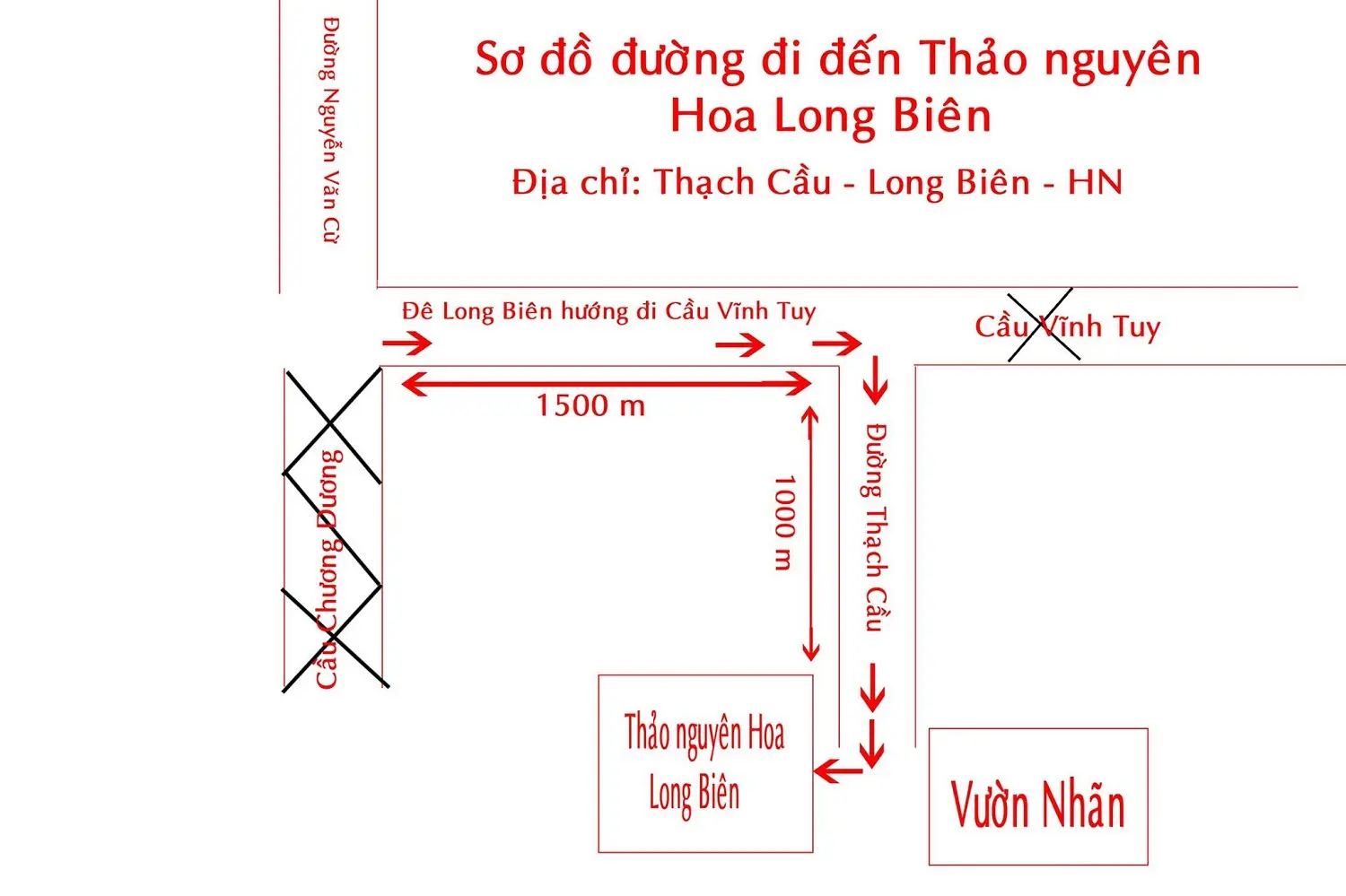 Lạc giữa thảo nguy&ecirc;n hoa Long Bi&ecirc;n ngập tr&agrave;n sắc m&agrave;u 5