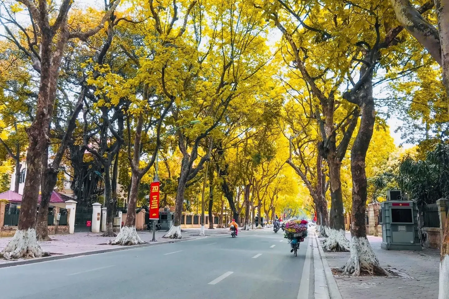 Tận hưởng m&ugrave;a thu H&agrave; Nội đẹp rung động l&ograve;ng người 3