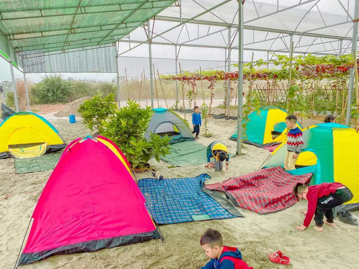 Thăm nông trại dâu tây Chimi Farm Hà Nội nổi tiếng nhất thủ đô 3
