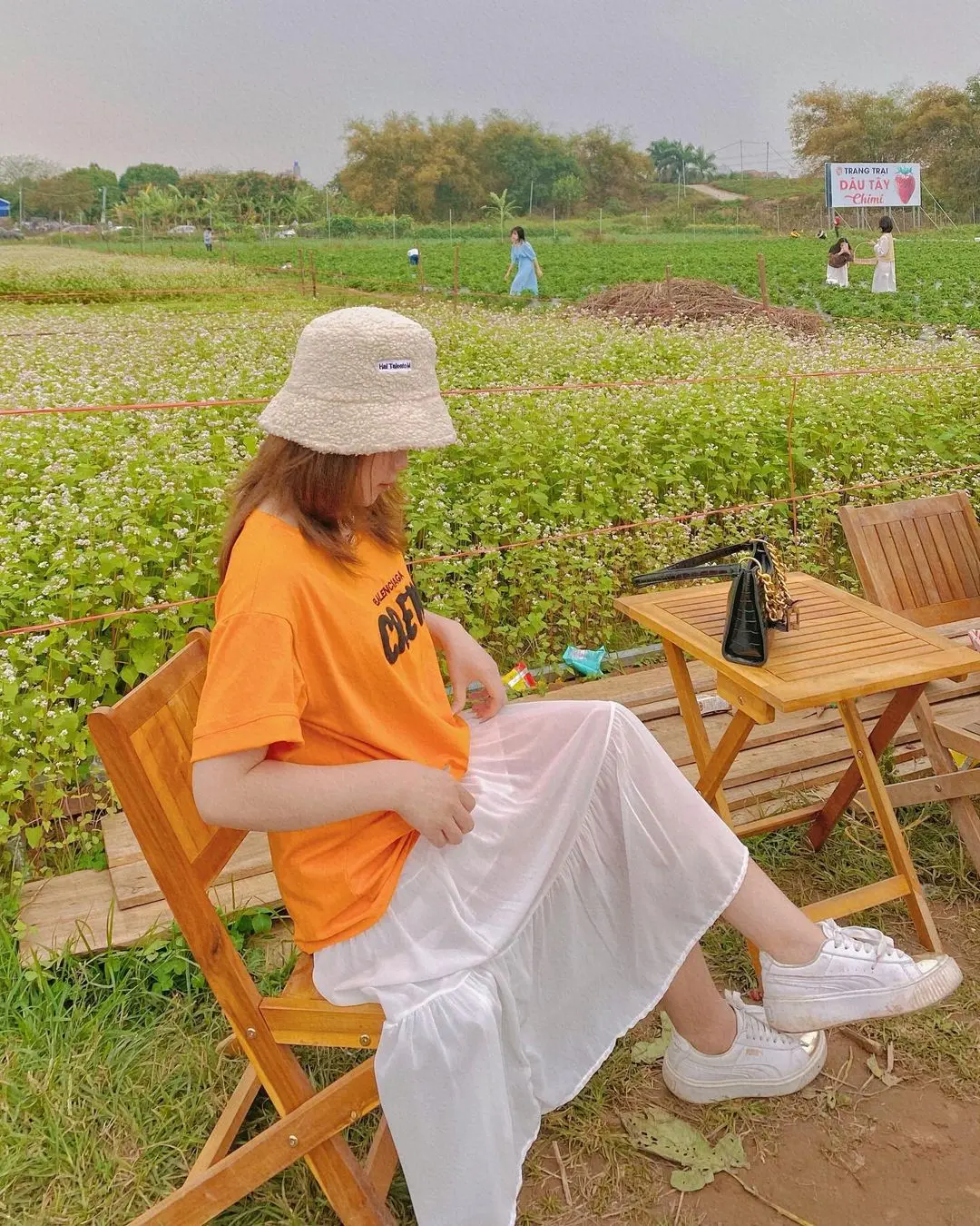 Thăm nông trại dâu tây Chimi Farm Hà Nội nổi tiếng nhất thủ đô 8