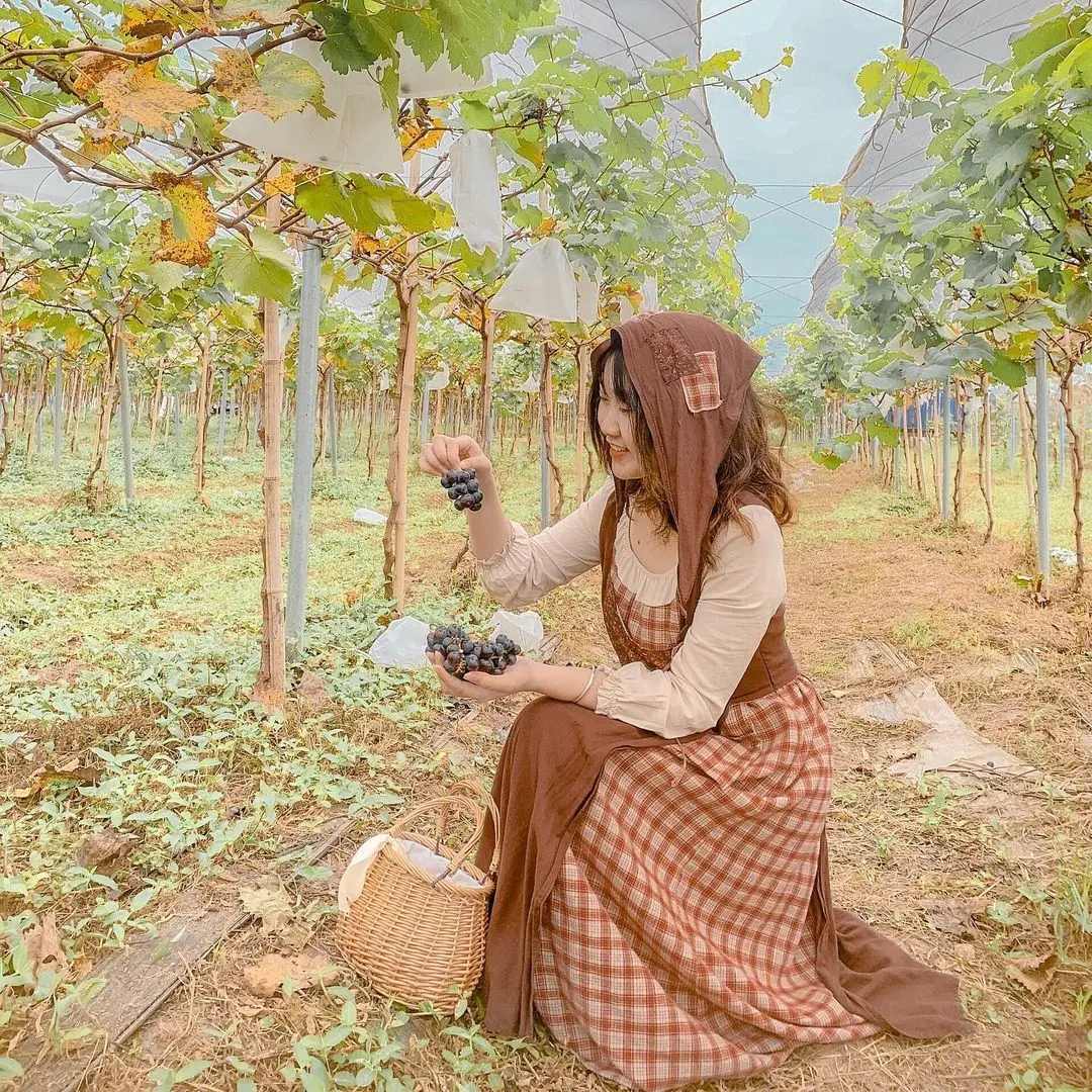 Thăm nông trại dâu tây Chimi Farm Hà Nội nổi tiếng nhất thủ đô 9