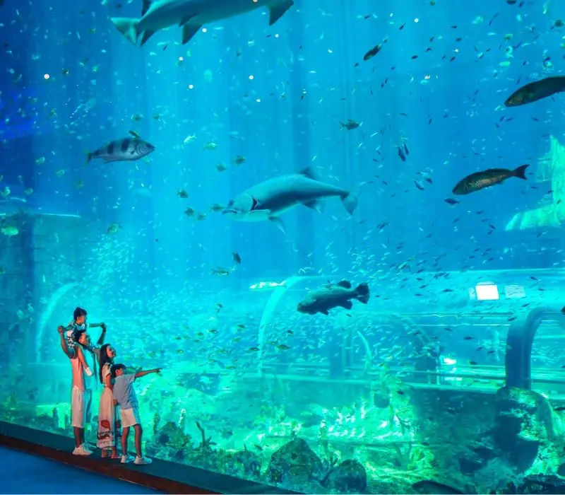 Thủy Cung Times City: Đại dương thu nhỏ giữa l&ograve;ng thủ đ&ocirc; 7