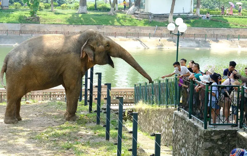 Top 9 c&ocirc;ng vi&ecirc;n c&acirc;y xanh tr&aacute;nh n&oacute;ng cho m&ugrave;a h&egrave; thủ đ&ocirc; 6