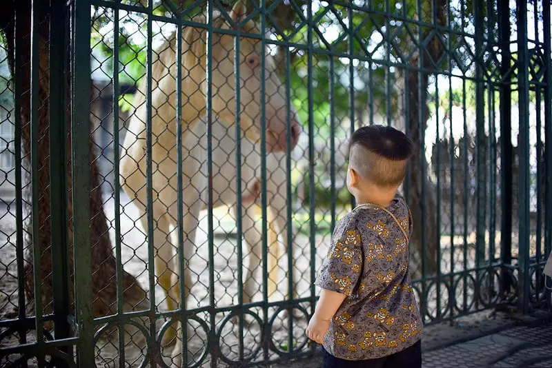 Vườn bách thú Hà Nội, điểm tham quan xanh ngát giữa thủ đô 4