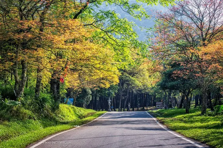 Vườn Quốc gia Ba Vì - Địa điểm lý tưởng cho những chuyến dã ngoại 6