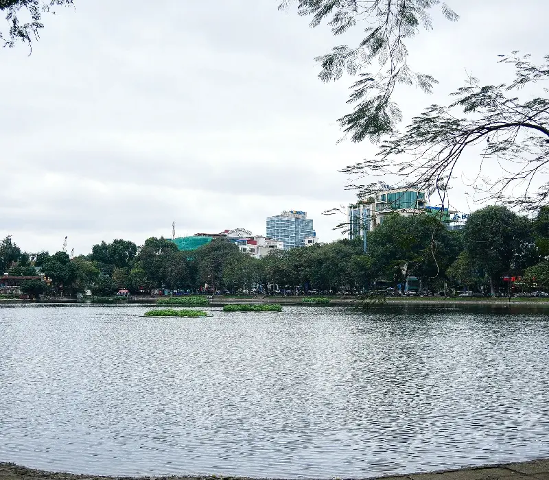 Hồ Thiền Quang: Góc xanh bình yên giữa lòng Hà Nội