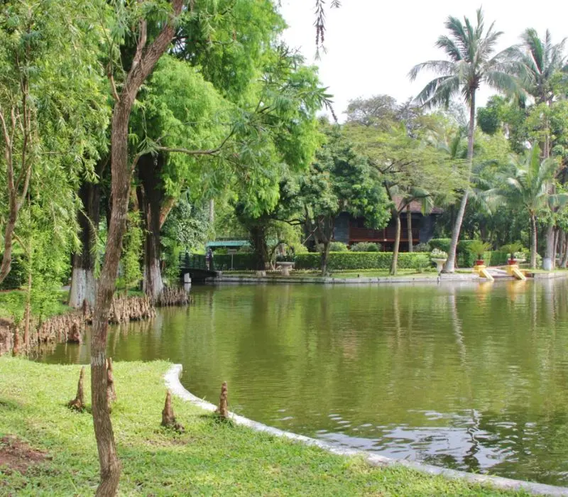 Tìm hiểu về ao cá Bác Hồ, nơi kể những câu chuyện giản dị về Người