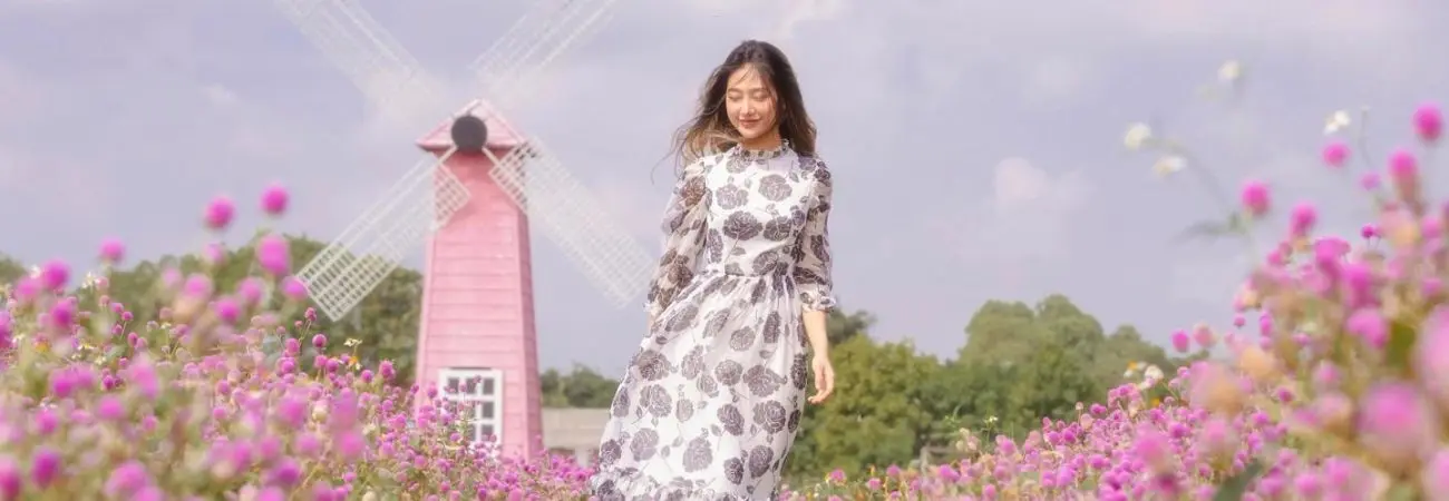 Vẻ đẹp của Mùa hoa bách nhật tím Hà Nội mỗi khi nở rộ