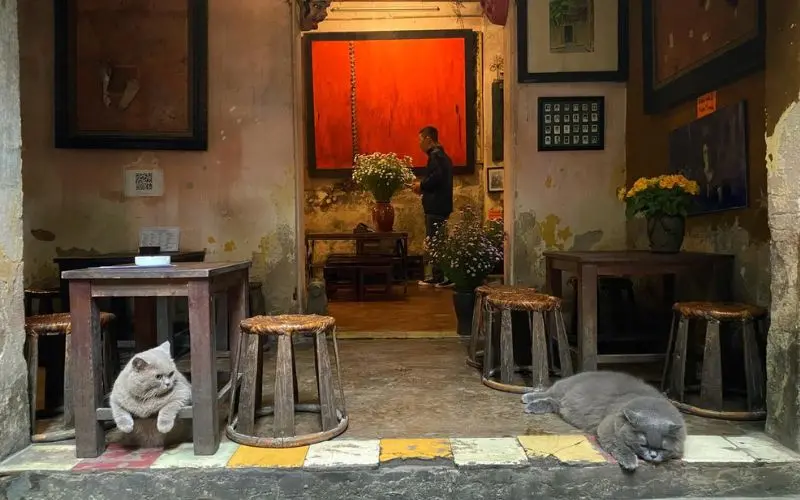 Cafe Cuối Ngõ, nơi gắn kết những tâm hồn yêu nhạc Trịnh 7