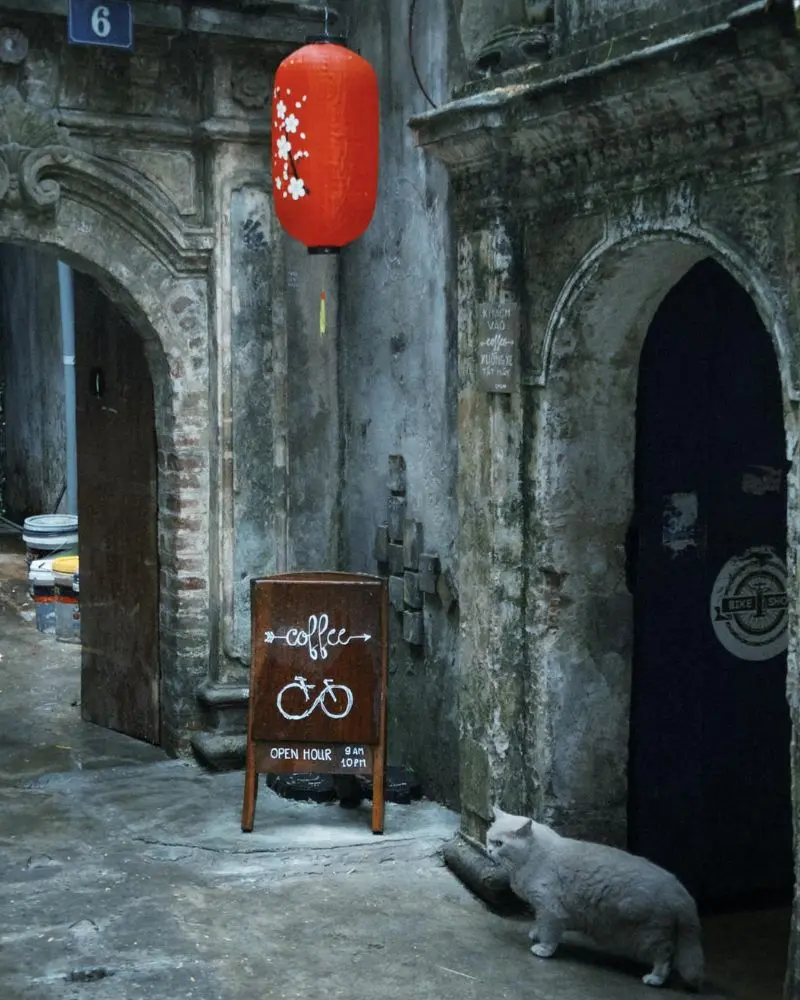 Cafe Cuối Ngõ, nơi gắn kết những tâm hồn yêu nhạc Trịnh 9