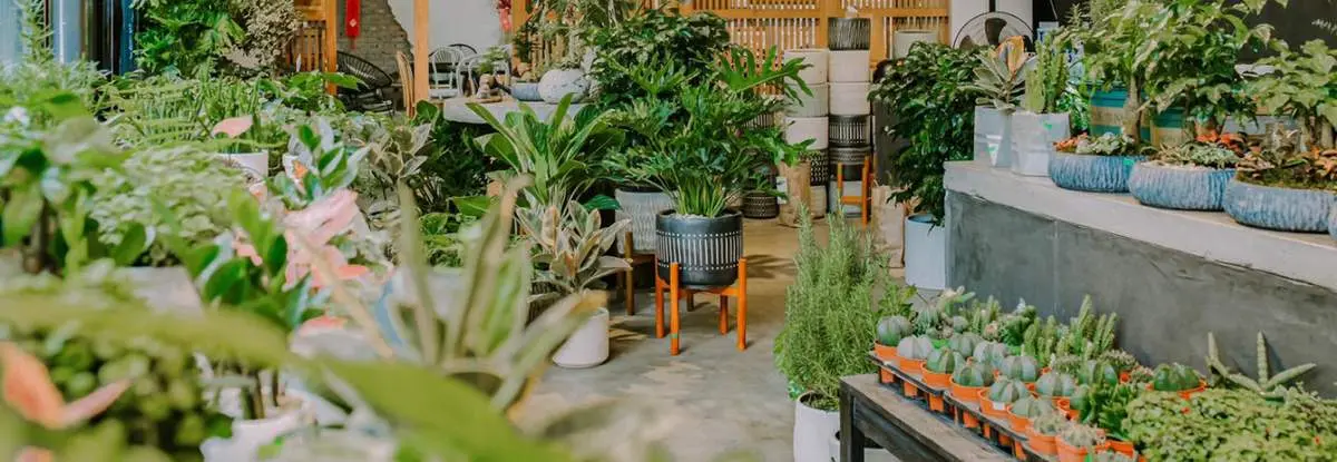 Điểm mặt những quán cafe đẹp Hà Nội với nhiều không gian tuyệt vời