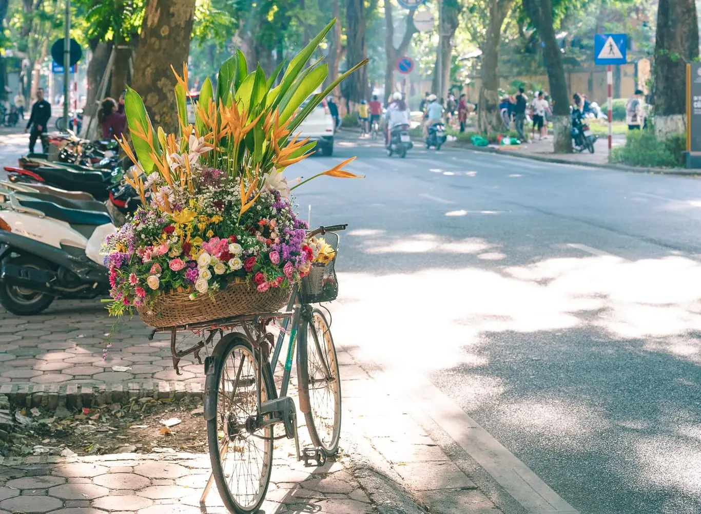 Chiêm ngưỡng mùa thu Hà Nội cùng sắc hoa rực rỡ
