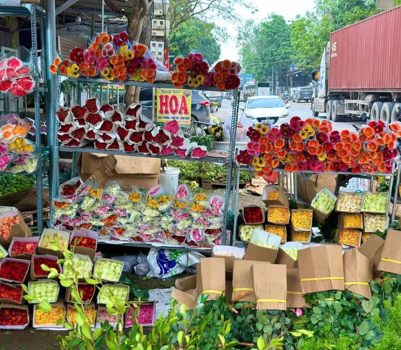 Chợ hoa Mê Linh: Nơi giao thoa hương sắc và nhịp sống Hà Nội