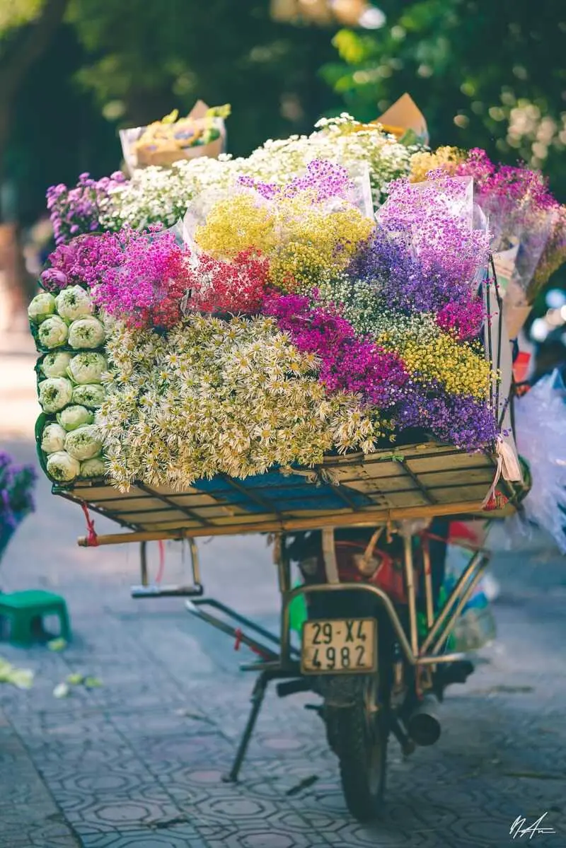 Chi&ecirc;m ngưỡng m&ugrave;a thu H&agrave; Nội c&ugrave;ng sắc hoa rực rỡ 3