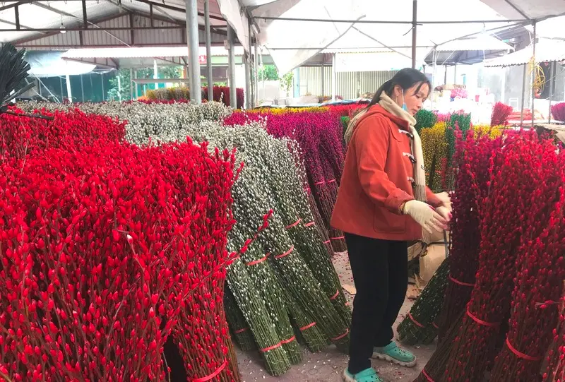 Chợ hoa M&ecirc; Linh: Nơi giao thoa hương sắc v&agrave; nhịp sống H&agrave; Nội 7