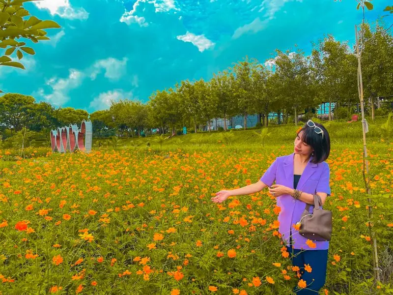 C&oacute; g&igrave; tại Ph&ugrave; Đổng Green Park, khu du lịch H&agrave; Nội nổi tiếng 13