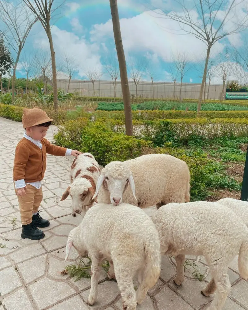 C&oacute; g&igrave; tại Ph&ugrave; Đổng Green Park, khu du lịch H&agrave; Nội nổi tiếng 12