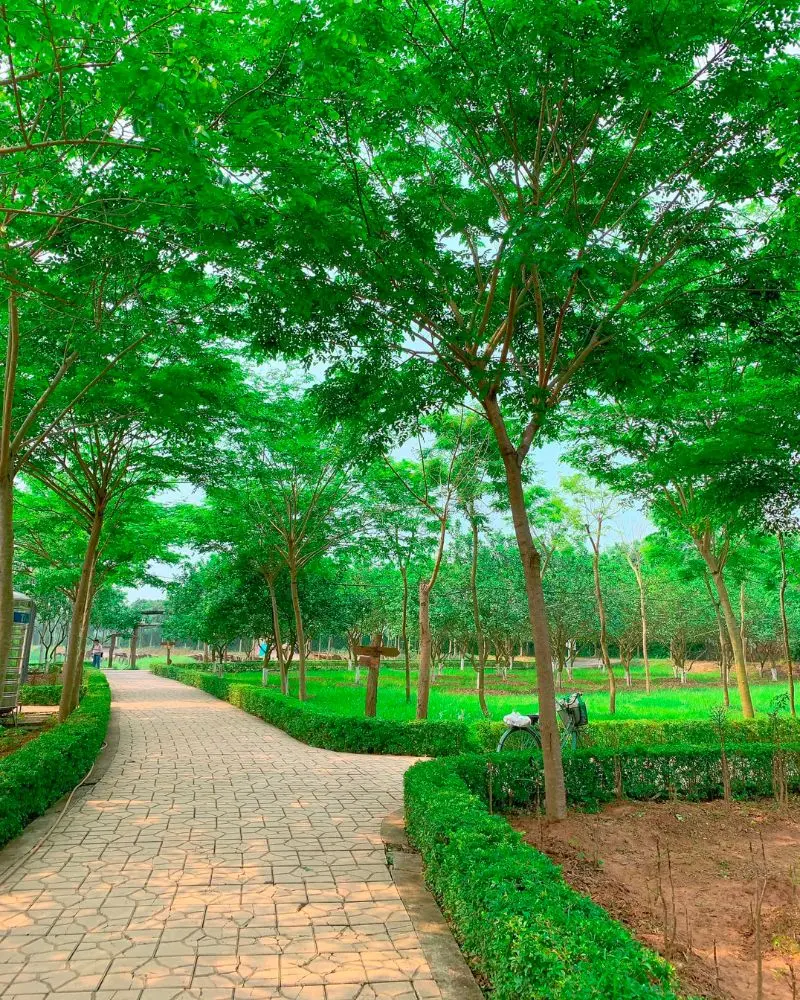 C&oacute; g&igrave; tại Ph&ugrave; Đổng Green Park, khu du lịch H&agrave; Nội nổi tiếng 3