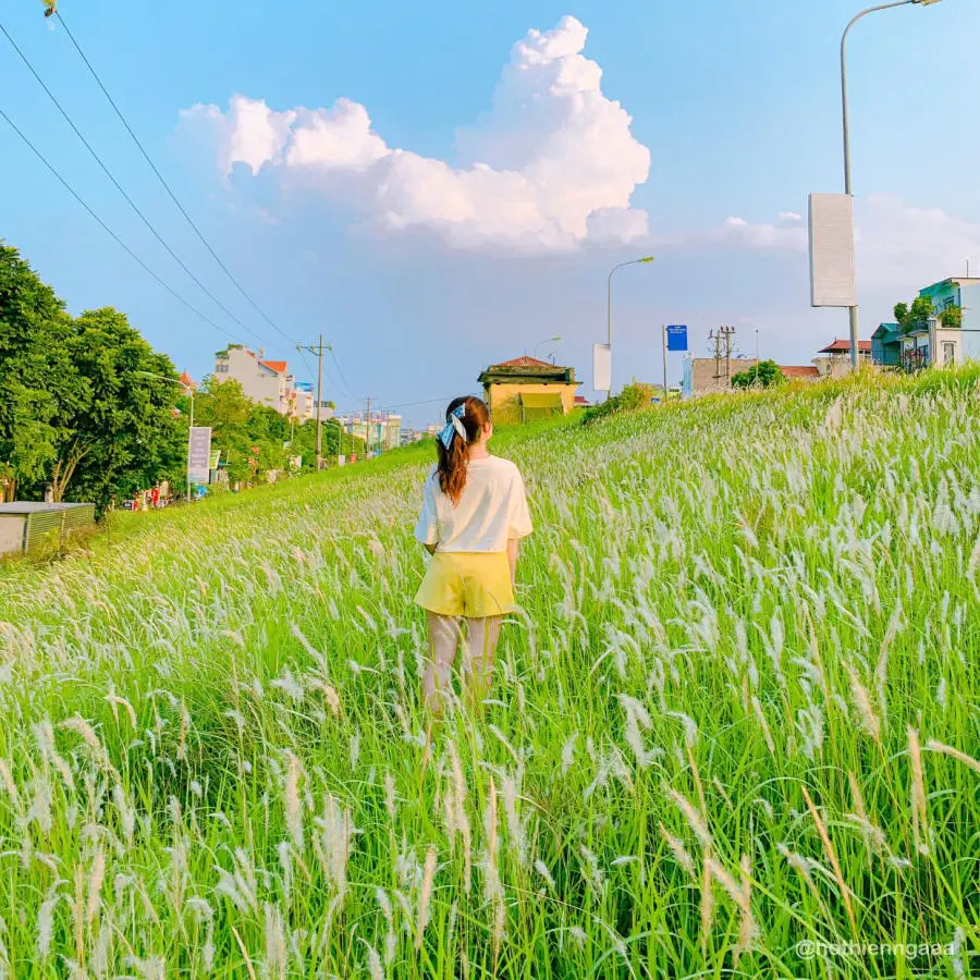 C&oacute; một H&agrave; Nội m&ugrave;a cỏ lau dịu d&agrave;ng v&agrave; n&ecirc;n thơ đến thế 4