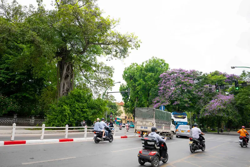 Dạo bước ngắm đường Thanh Ni&ecirc;n, con phố t&igrave;nh y&ecirc;u của H&agrave; Nội 6