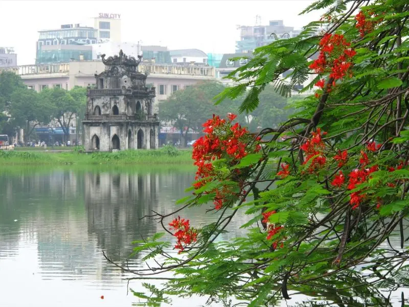 H&agrave; Nội 12 m&ugrave;a hoa: Vẻ đẹp đặc trưng của thủ đ&ocirc; qua mỗi th&aacute;ng 6