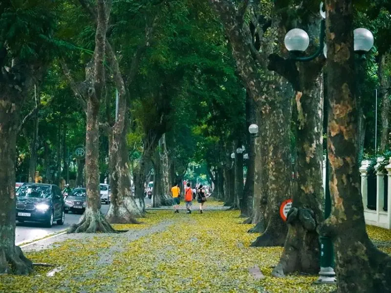 H&agrave; Nội 12 m&ugrave;a hoa: Vẻ đẹp đặc trưng của thủ đ&ocirc; qua mỗi th&aacute;ng 8
