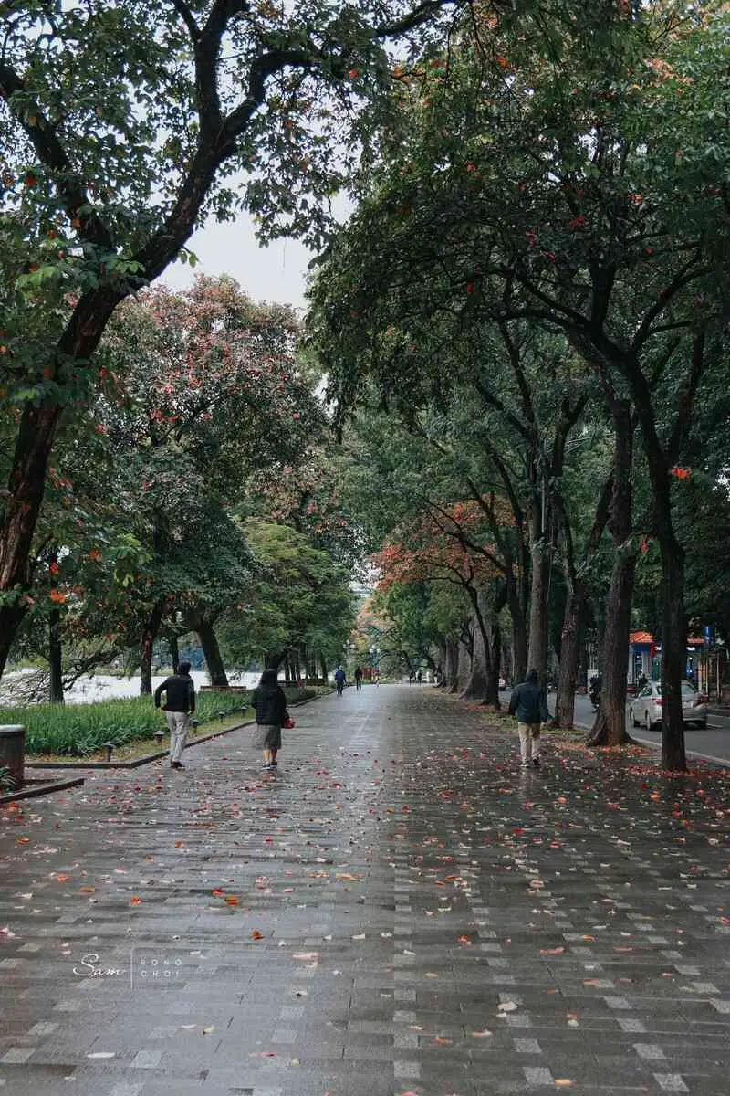 H&agrave; Nội sau cơn mưa, vẻ đẹp dịu d&agrave;ng tươi mới 2