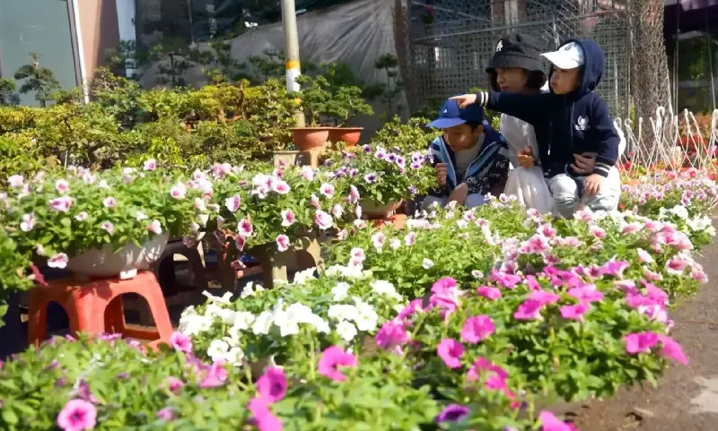 Kh&aacute;m ph&aacute; Chợ Hoa C&acirc;y Cảnh Vạn Ph&uacute;c H&agrave; Đ&ocirc;ng m&ugrave;a gi&aacute;p Tết 7