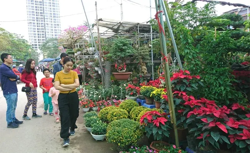 Kh&aacute;m ph&aacute; Chợ Hoa C&acirc;y Cảnh Vạn Ph&uacute;c H&agrave; Đ&ocirc;ng m&ugrave;a gi&aacute;p Tết 4